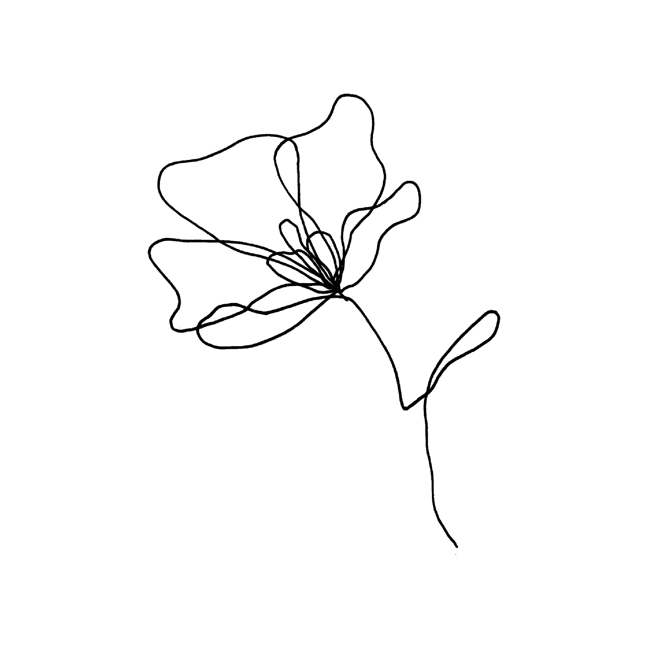 Testimonial image, continuous line drawing of a flower - by PHYLLi Designs