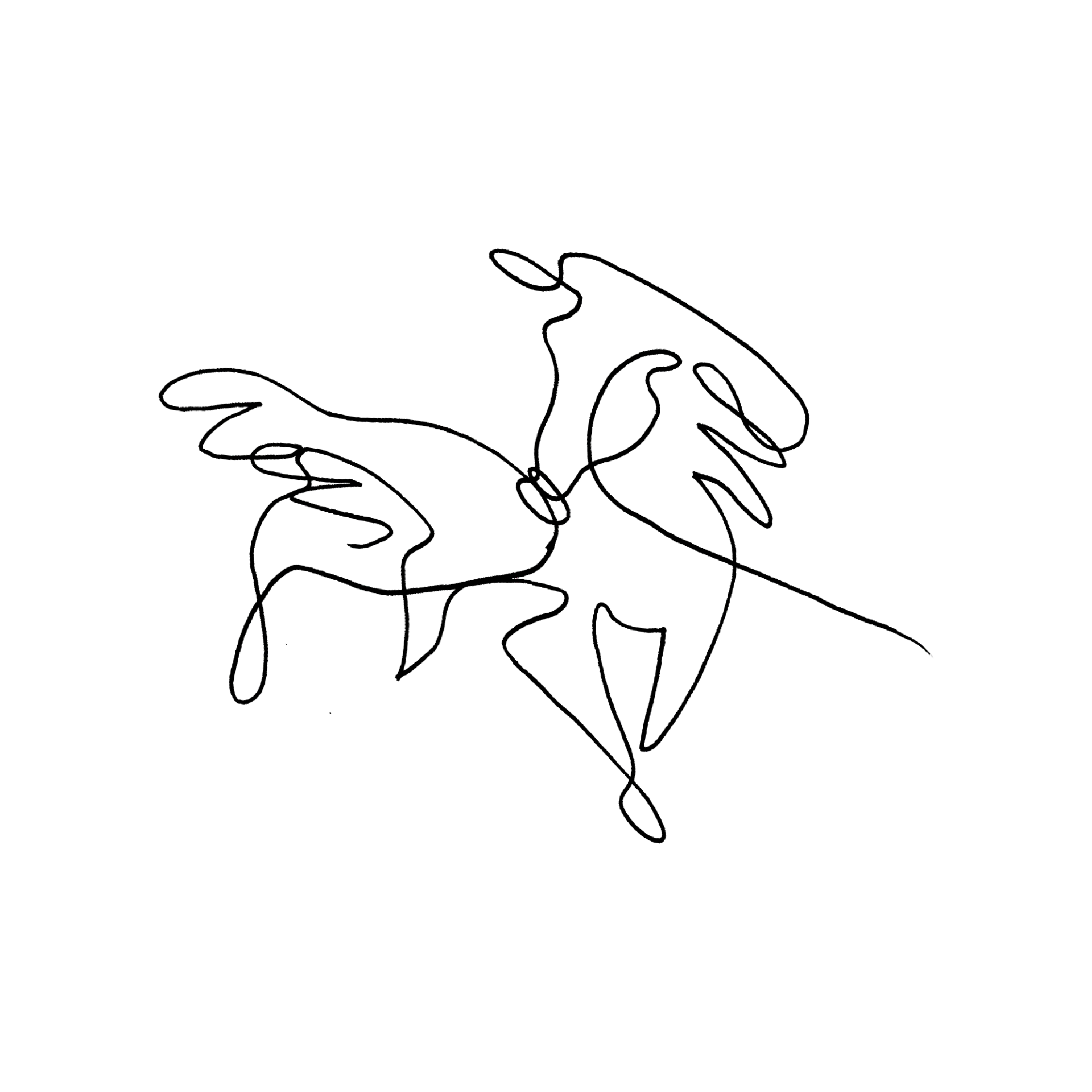 Testimonial image, continuous line drawing of a horse - by PHYLLi Designs