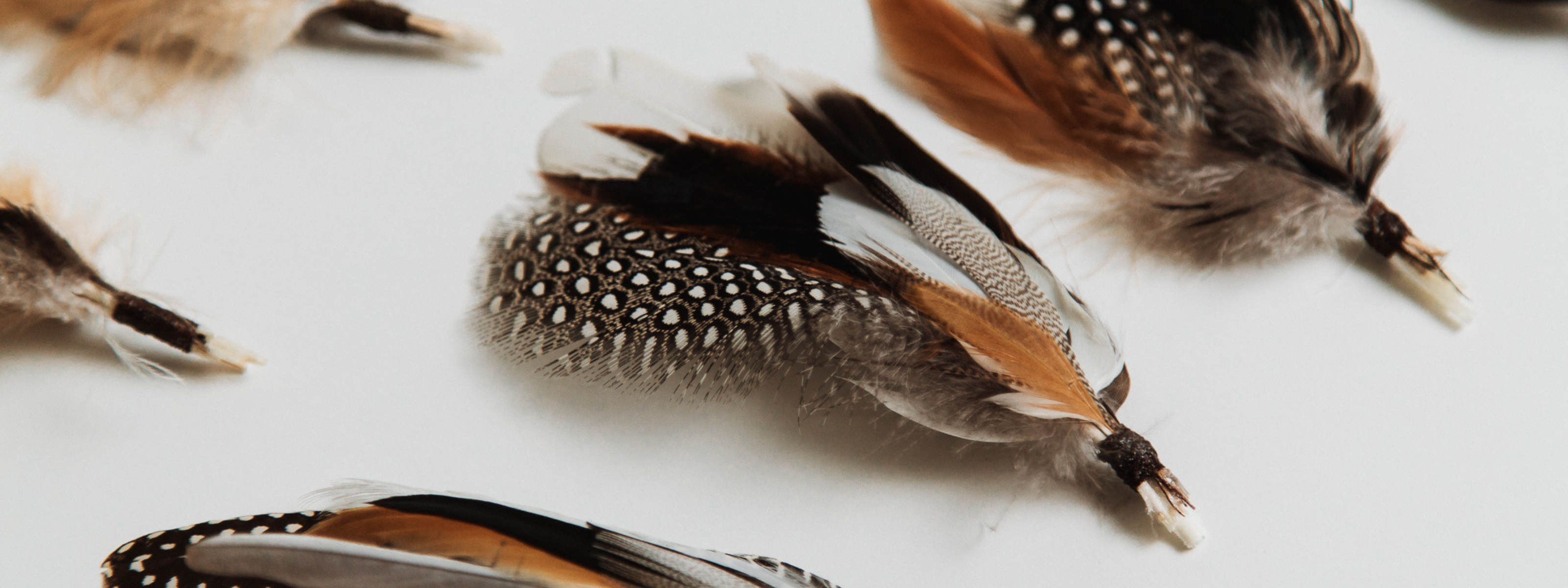 Banner image | Assorted natural feathers in warm tones – customisable feather bunches for PHYLLi Designs hats