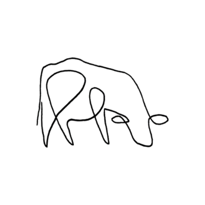 Testimonial image, continuous line drawing of a cow - by PHYLLi Designs