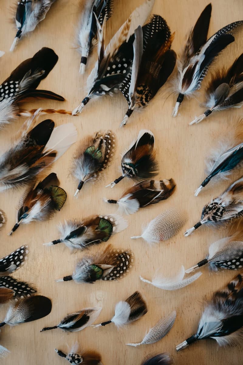 Close up detail of fallen feather bunches arranged across a wooden table showing varied natural feather textures and patterns.