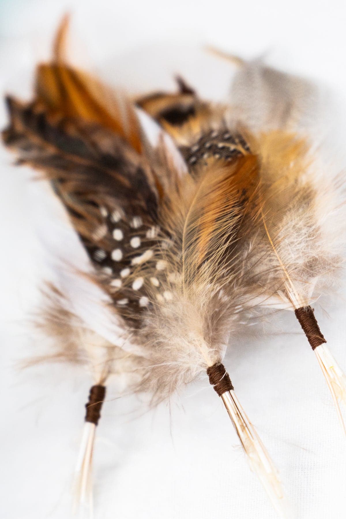 Close up detail of fallen feather bunch showing layered pheasant, guinea fowl and cream feathers bound with brown thread.
