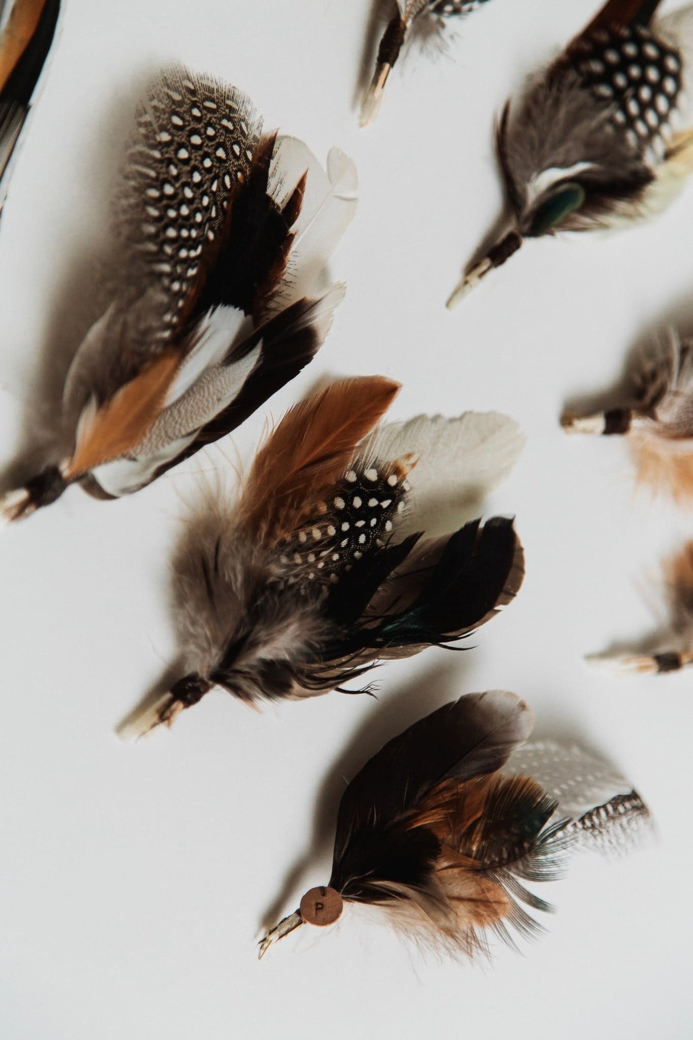 Feather Bunch