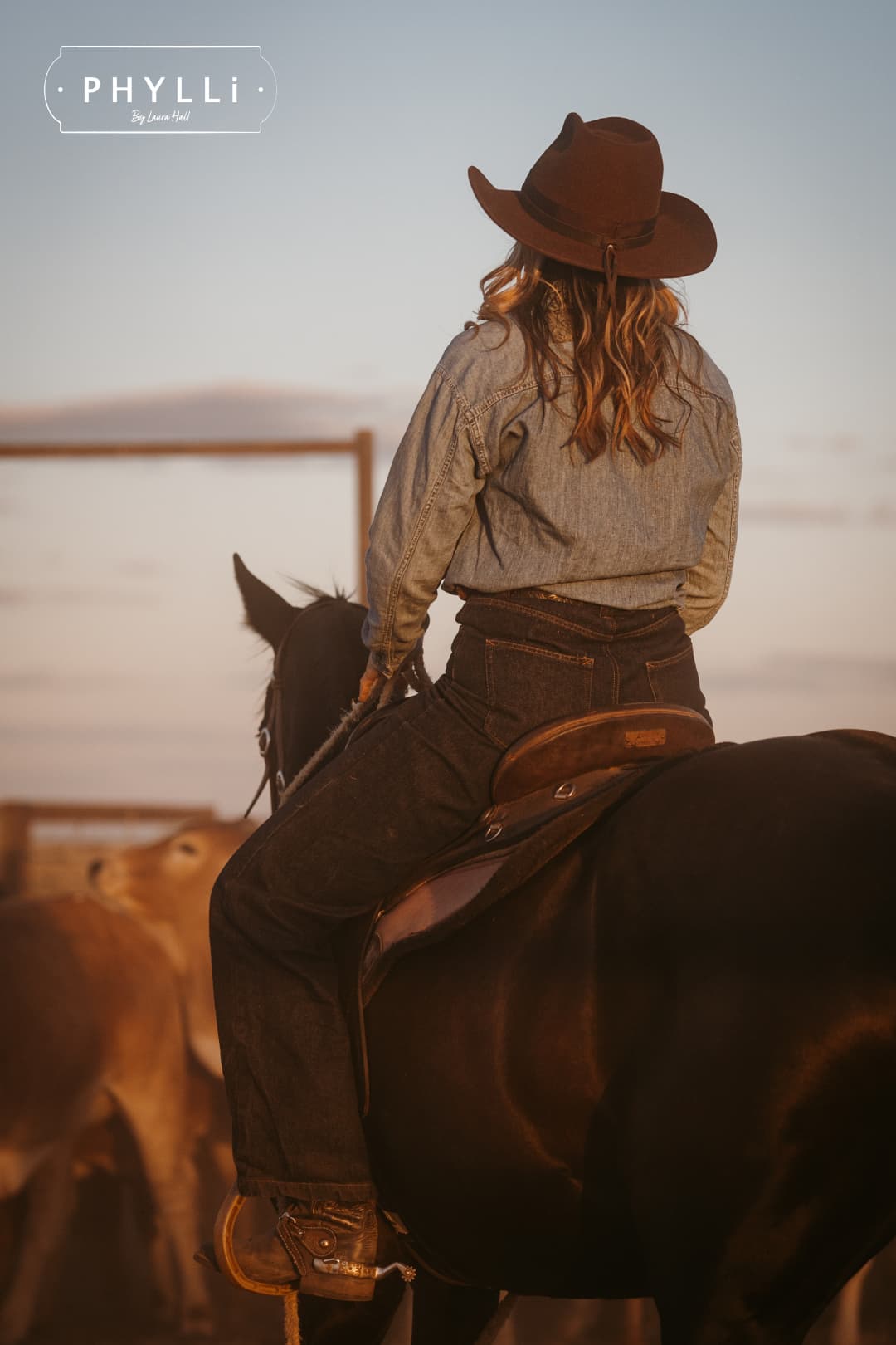 Back view of the chocolate cowboy hat Spicer by PHYLLi Designs with leather tie back band worn while riding a horse in a dusty outback paddock at golden hour.