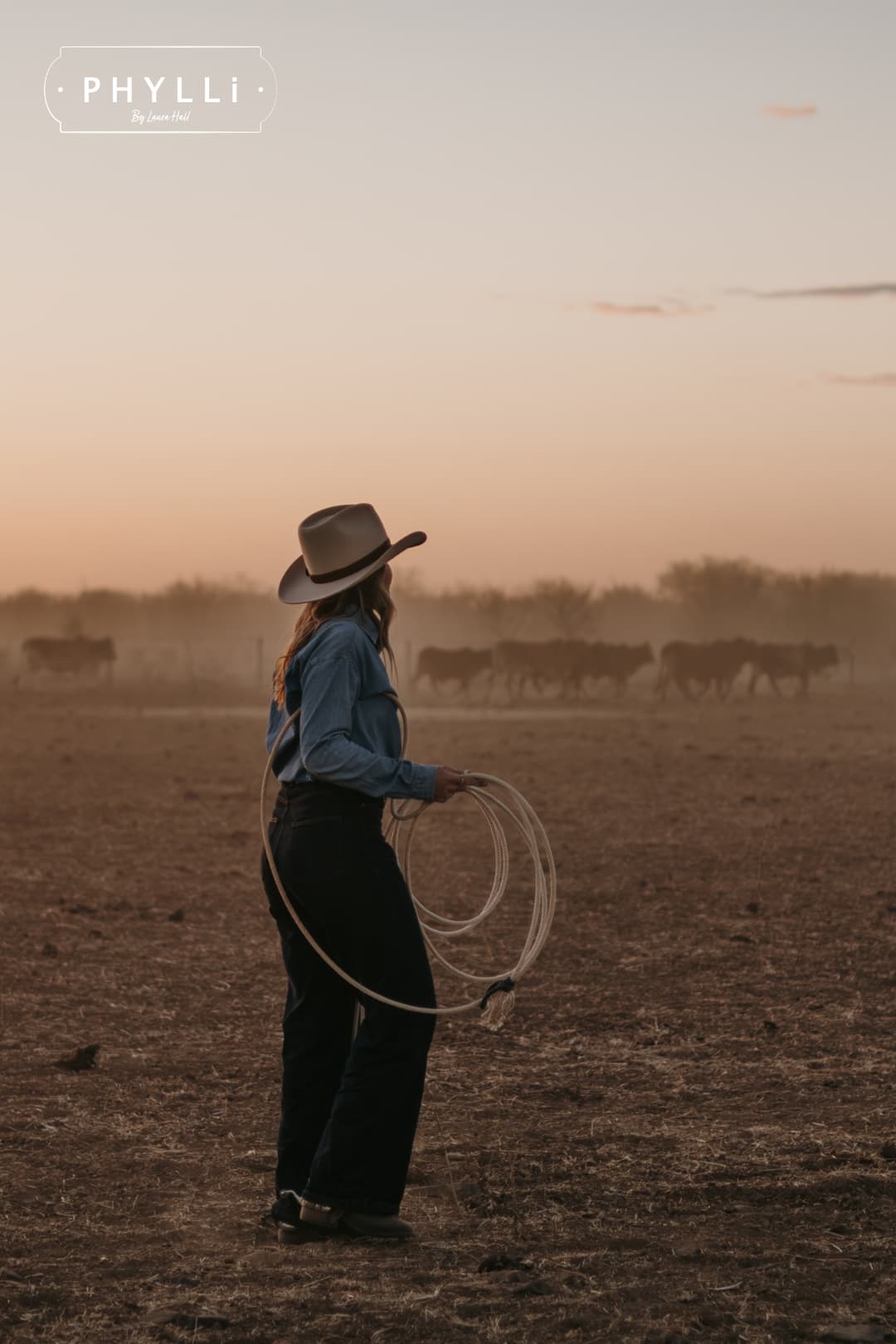 Model wearing the beige cowboy hat Wheeler Beige by PHYLLi Designs with chocolate leather hat band while watching cattle move across a rural paddock at sunset.