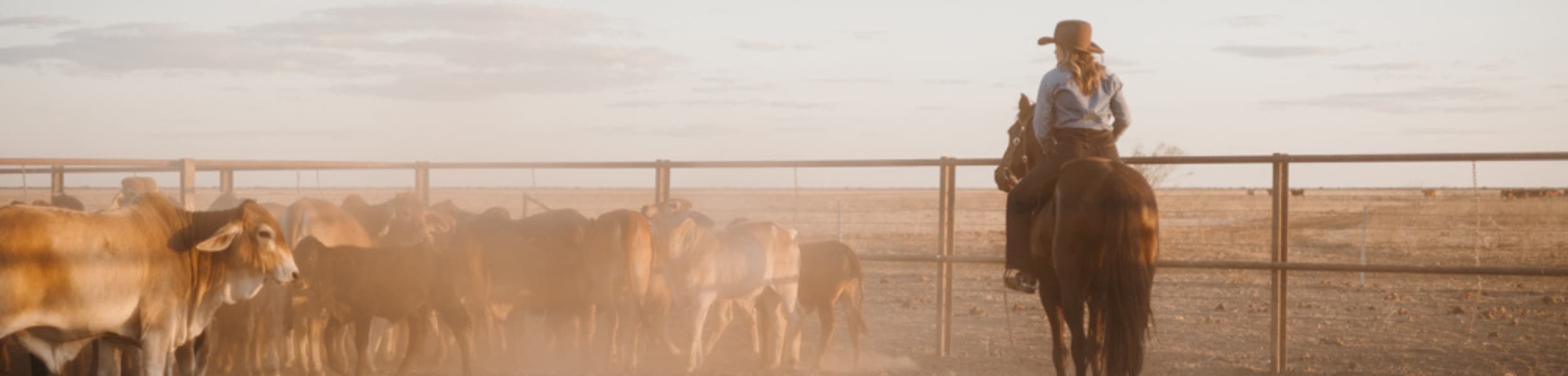 Cowgirl on a horse wearing a PHYLLi hat, rounding up cattle in the yards with dust in the air