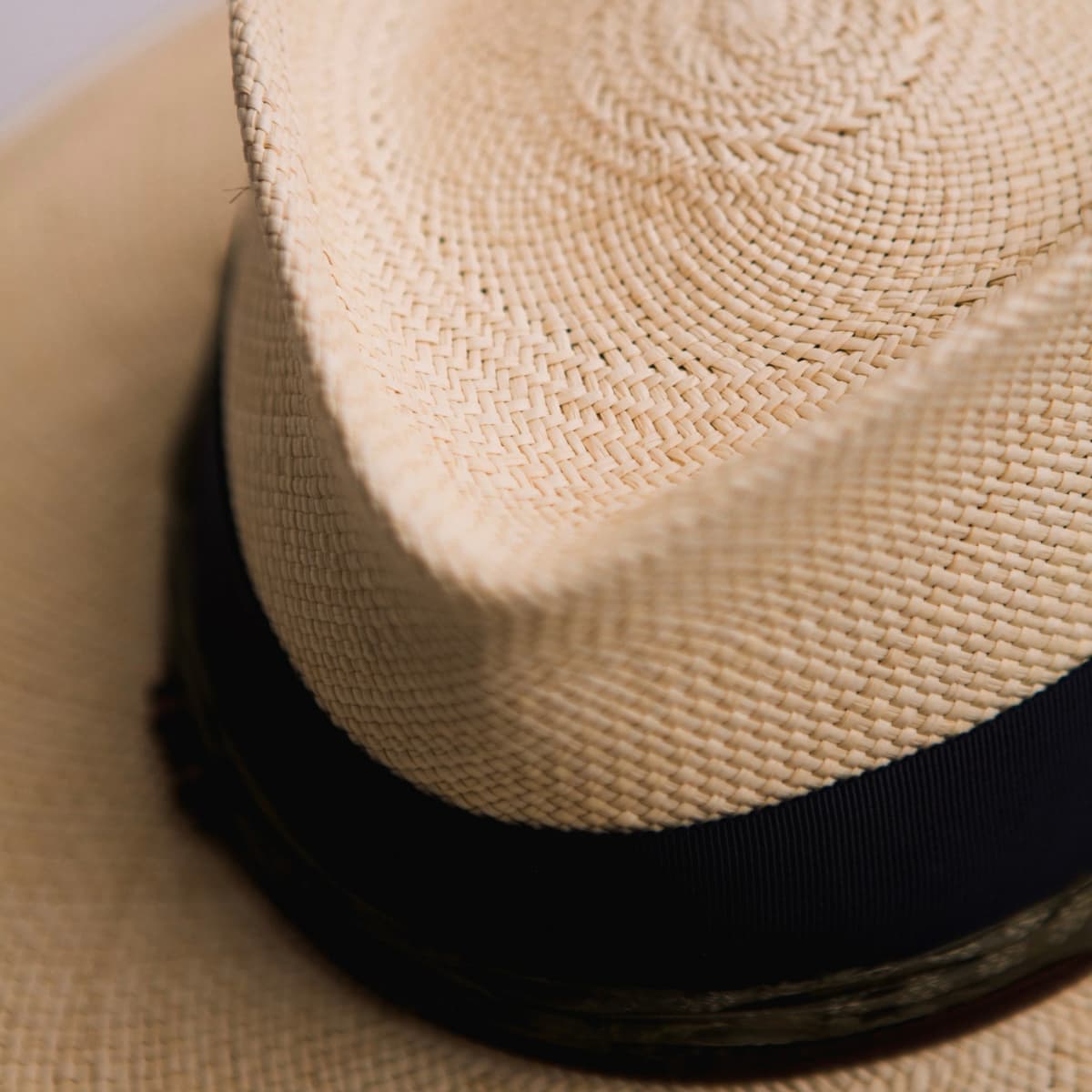 Close up detail of the Figueras Panama hat showing forest sari silk trimming beneath the grosgrain band.