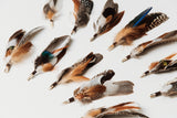 Feather Bunch