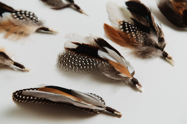 Feather Bunch