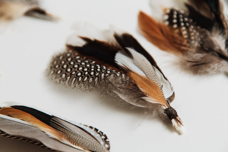 Feather Bunch